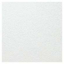 Потолочная плита ARMSTRONG BIOGUARD Plain Tegular 15 1200х600х15 мм