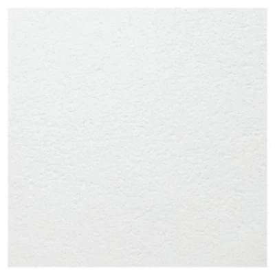Потолочная плита ARMSTRONG BIOGUARD Plain Tegular 15 1200х600х15 мм 713356